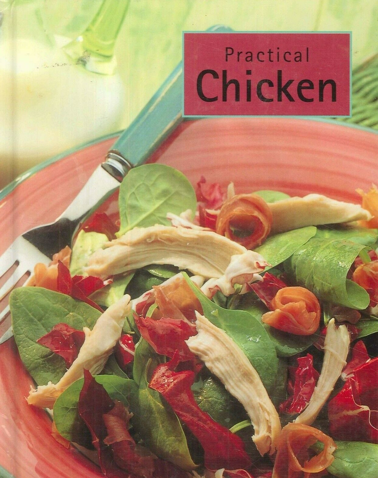 Practical Chicken Cookbook 2002 Wings Curry Stir Fry Soup Salad Skewers Pot Pie